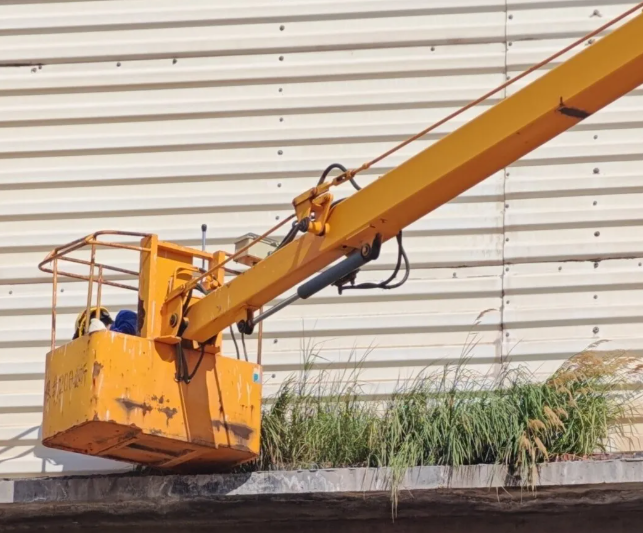 201755648424185150.png image.png